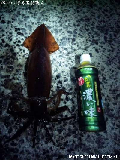 ����ᥤ��