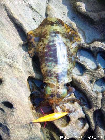 �����ꥤ��