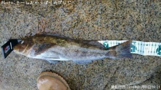 �����ʥ�