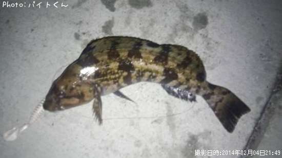 �����ʥ�