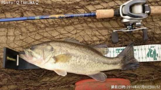 �֥�å��Х�