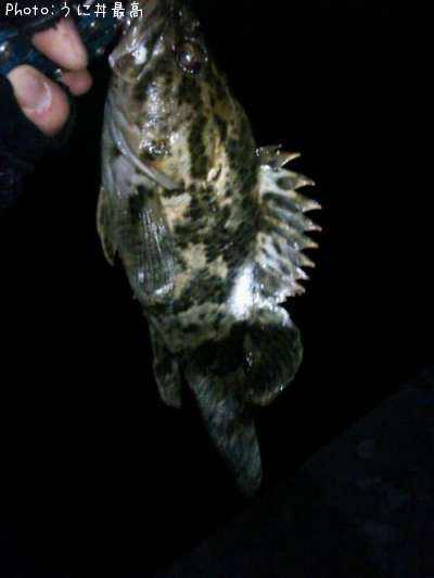 �٥å�������