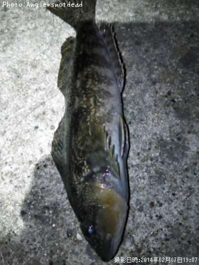 �����ʥ�