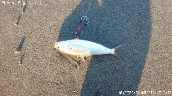 ���Υ�����