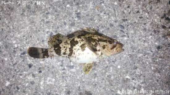 �����Υ���Х�