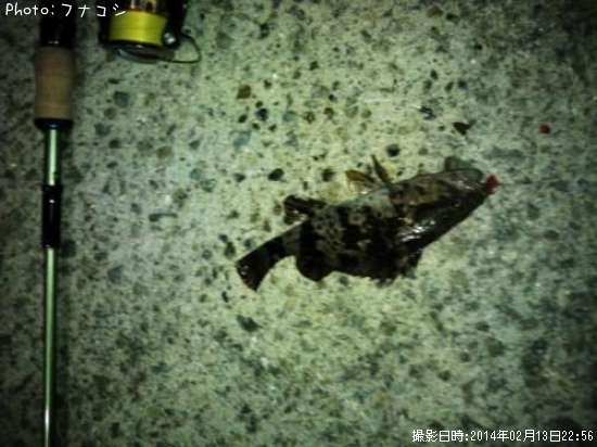 �����Υ���Х�