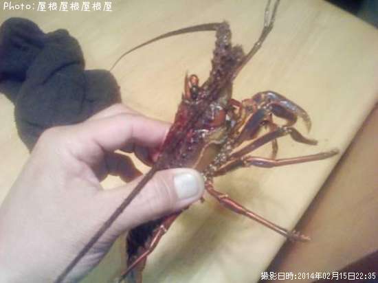 ������Ϸ