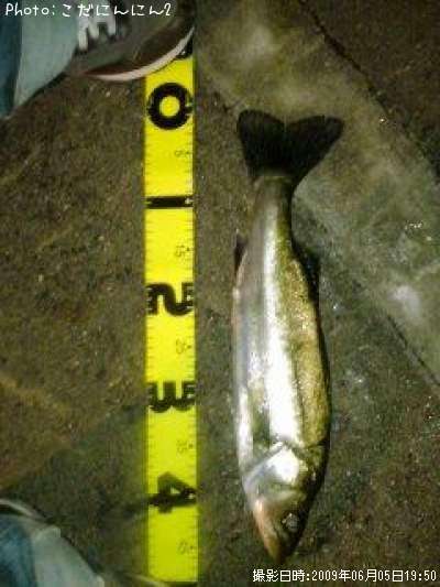 �����Х�