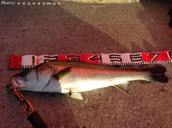 �����Х�