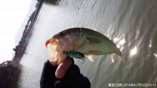 �顼���ޥ����Х�