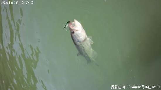 �顼���ޥ����Х�