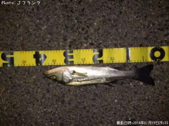 �����Х�