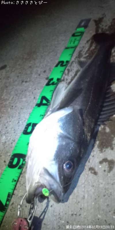 �����Х�