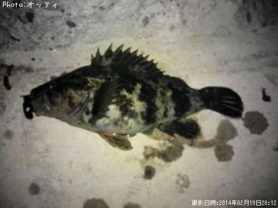 �٥å�������