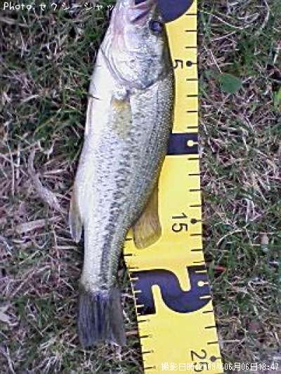 �֥�å��Х�