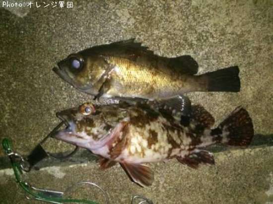 ��Х�ȥ�����