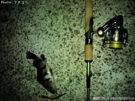 �����Υ���Х�