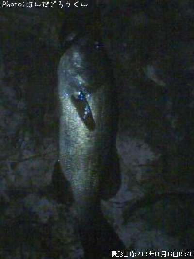 �֥�å��Х�