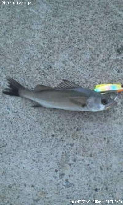 �����Х�