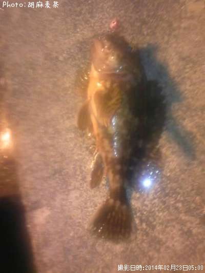 �����ϥ�