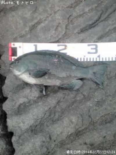 �����᥸��