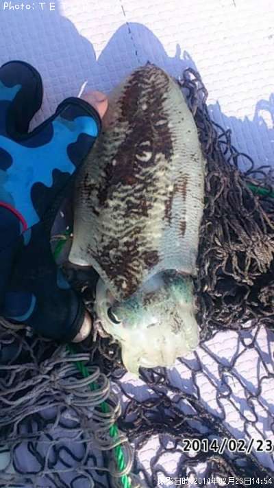 ���ߥ���