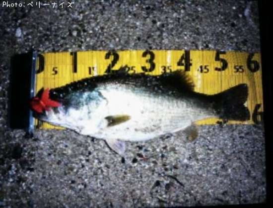 �֥�å��Х�