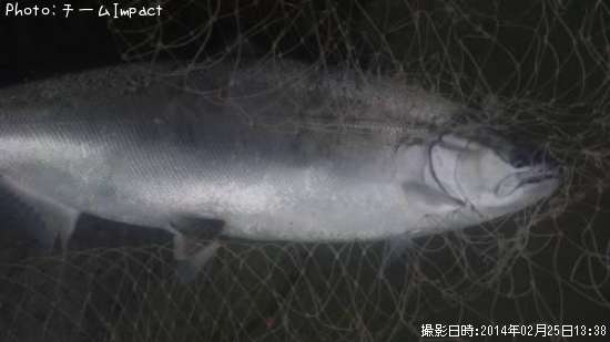 ������ޥ�