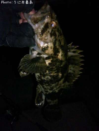 �٥å�������