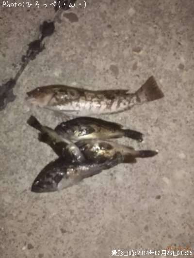 �����ʥ�