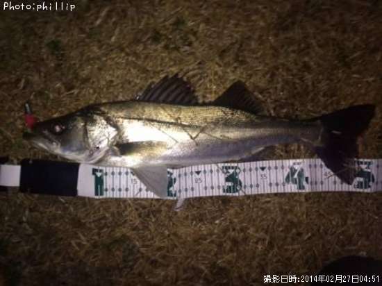 �����Х�