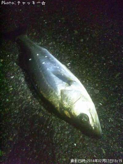 �����Х�