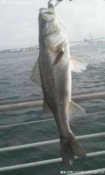 �����Х�