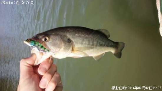 �顼���ޥ����Х�