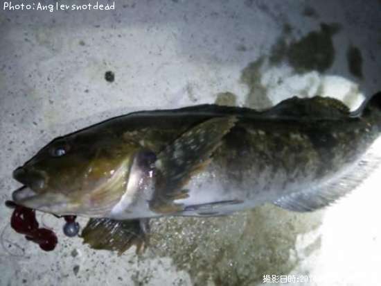 �����ʥ�