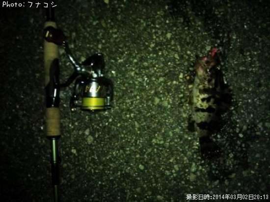 �����Υ���Х�