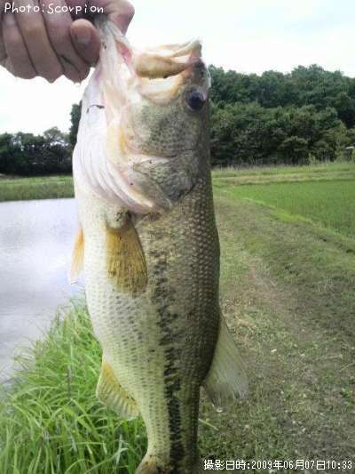 �֥�å��Х�