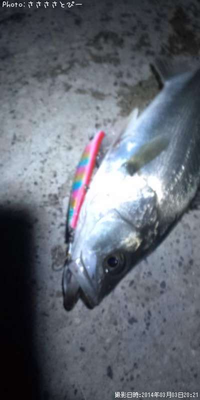 �����Х�