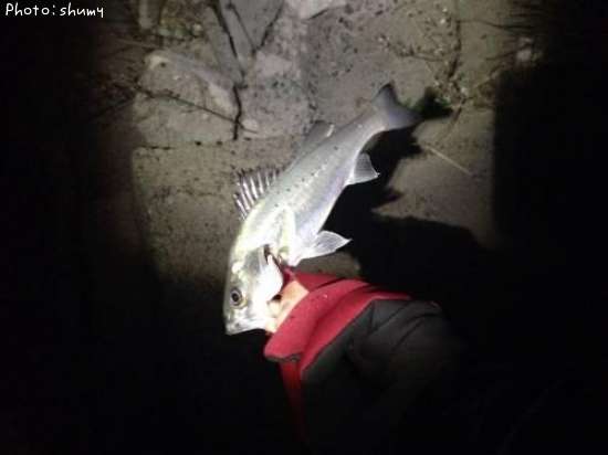 �����Х�