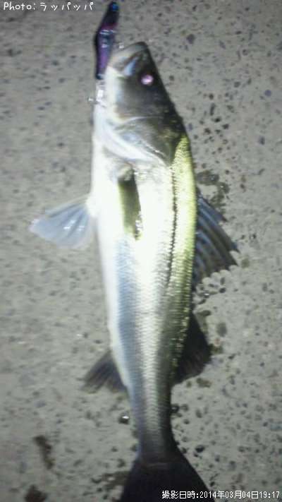 �����Х�