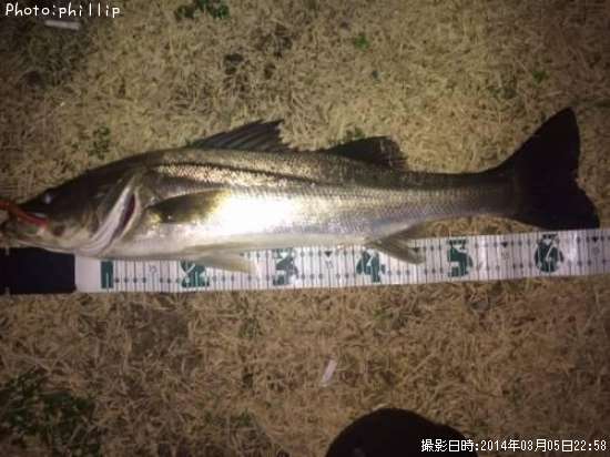 �����Х�