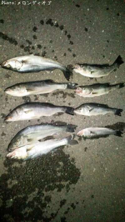 �����Х�