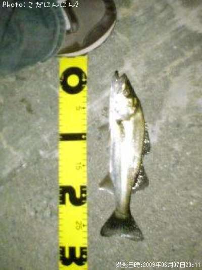 �����Х�