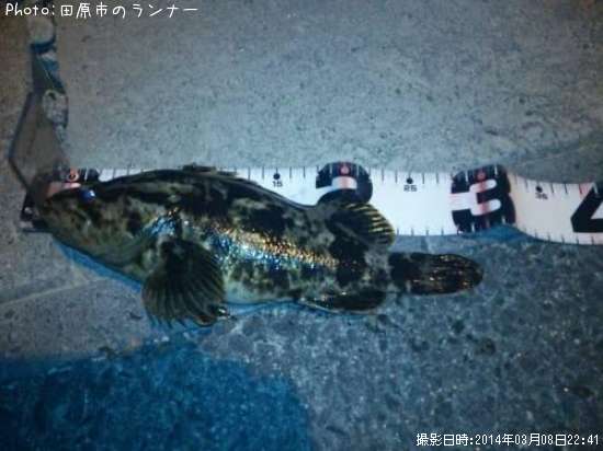 �����Υ���Х�