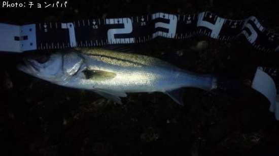 �����Х�