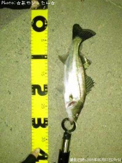 �����Х�