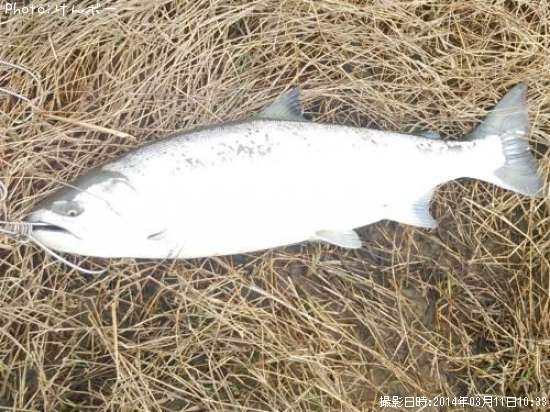 ������ޥ�