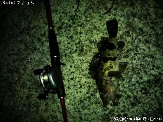 �����Υ���Х�