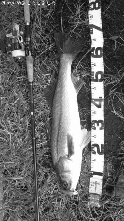 �����Х�