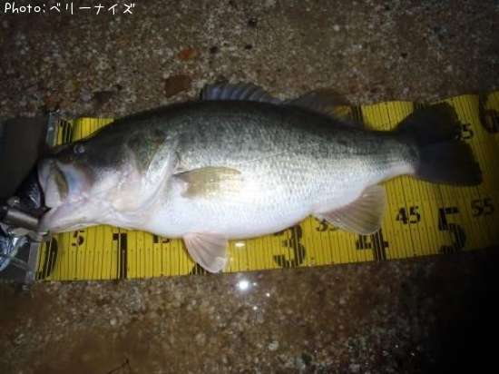 �֥�å��Х�